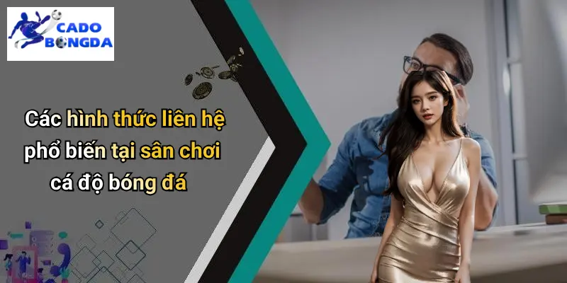 Liên Hệ
