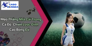 Mẹo Thắng Nhà Cái Trong Cá Độ