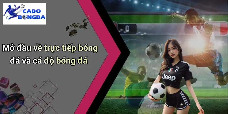 Trực Tiếp Bóng Đá