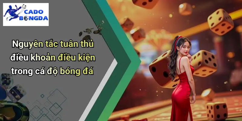 Điều khoản điều kiện