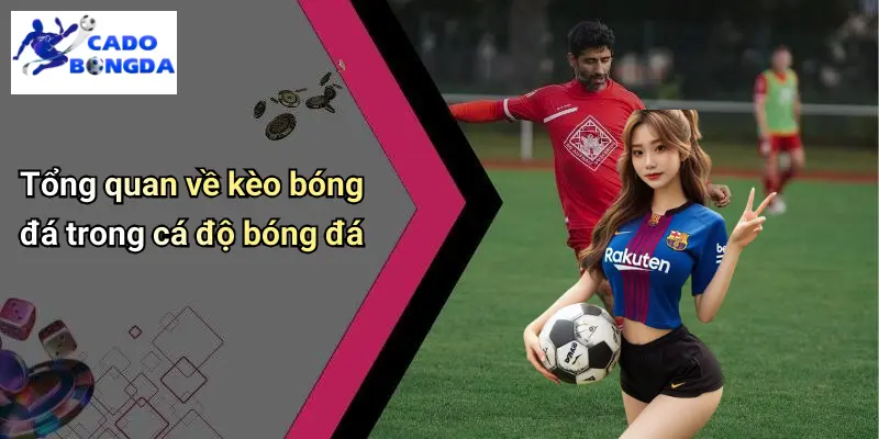Kèo bóng đá 1 kèo bóng đá