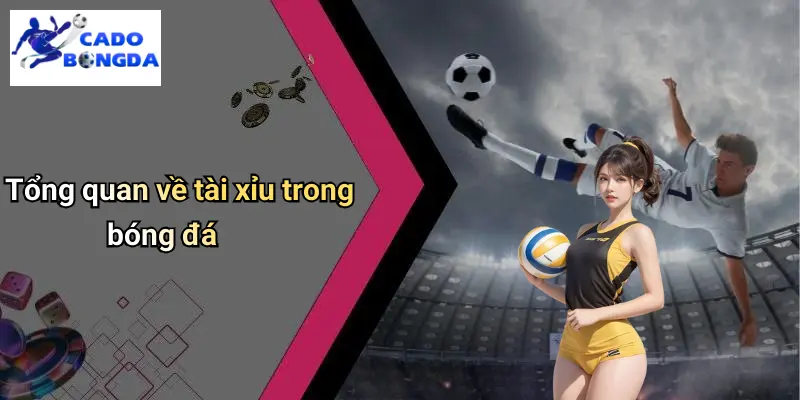 Tài Xỉu Trong Bóng Đá: Chơi Kèo Đỉnh Cao Cho Dân Cá Cược 1 Tài Xỉu Trong Bóng Đá