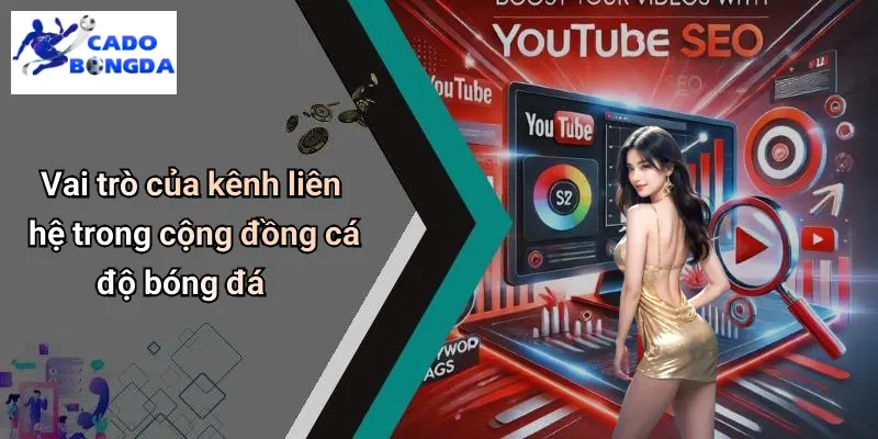 Liên Hệ
