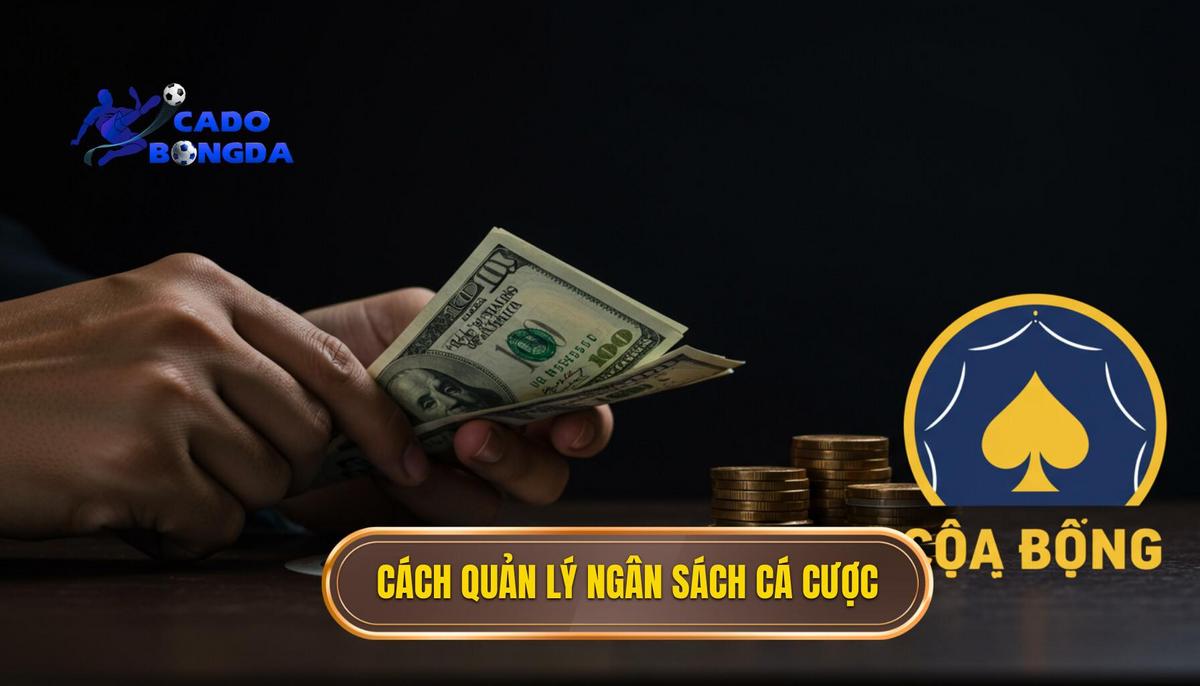 Cách Quản Lý Ngân Sách Cá Cược Chuyên Nghiệp: Nền Tảng Của Mọi Chiến Thắng 3 Cách quản lý ngân sách cá cược