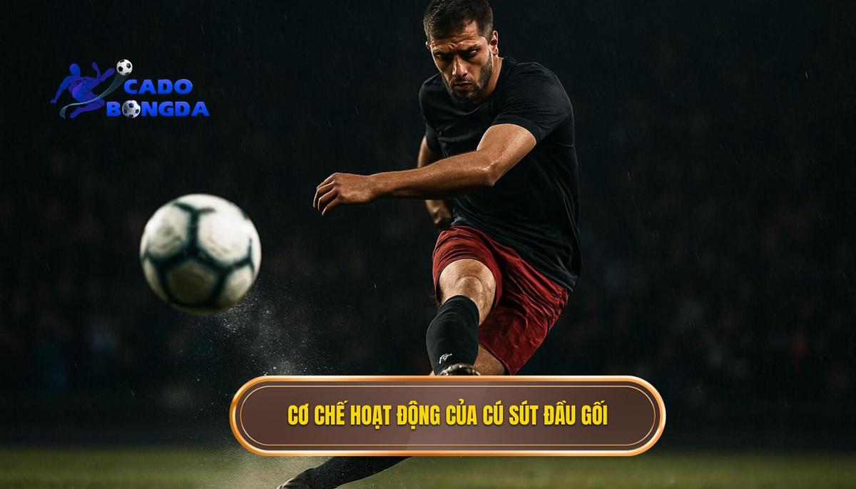 Kỹ thuật sút bóng bằng đầu gối trái: Vũ khí bất ngờ trong bóng đá hiện đại 1 Nền tảng khoa học và cơ chế hoạt động của cú sút đầu gối
