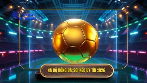 Top website soi kèo bóng đá uy tín nhất 2026 - Bí kíp về bờ