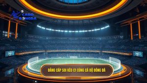 soi kèo các trận đấu cúp C1 châu Âu 2025