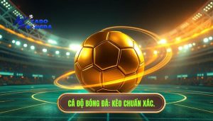 Kèo đang xoay theo nhịp trận: Bí kíp đọc vị nhà cái từ A-Z
