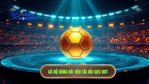 Kèo tài xỉu bắt đầu nóng: Bí kíp soi kèo từ chuyên gia petrastuntfoundation.com