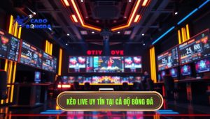 Kèo live bắt đầu rung mạnh - Bí quyết soi kèo rung từ cao thủ